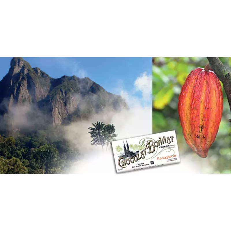 Dunkle Schokolade Madagascar vor Kakaofrucht