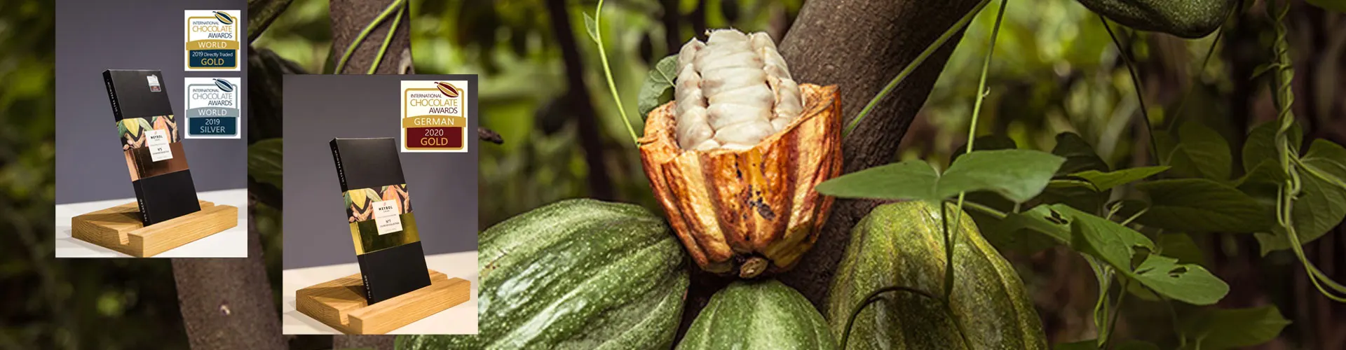 Meybol Cacao