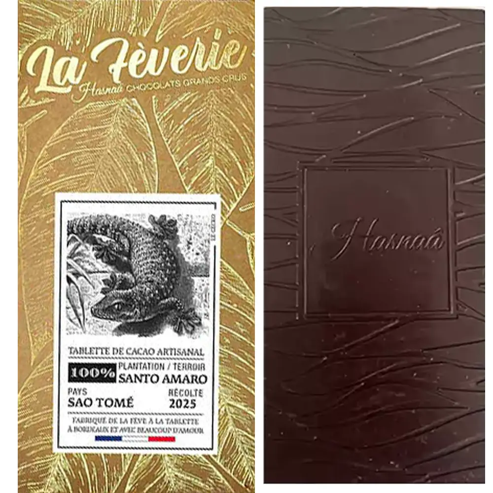 Santa Amaro Kakaotafel 100% Sao Tome von Hasnaa Schokoladen