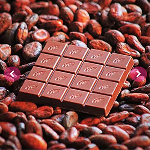 WILLIE's Cacao | Milchschokolade »Milk of the Gods« 44% | 50g